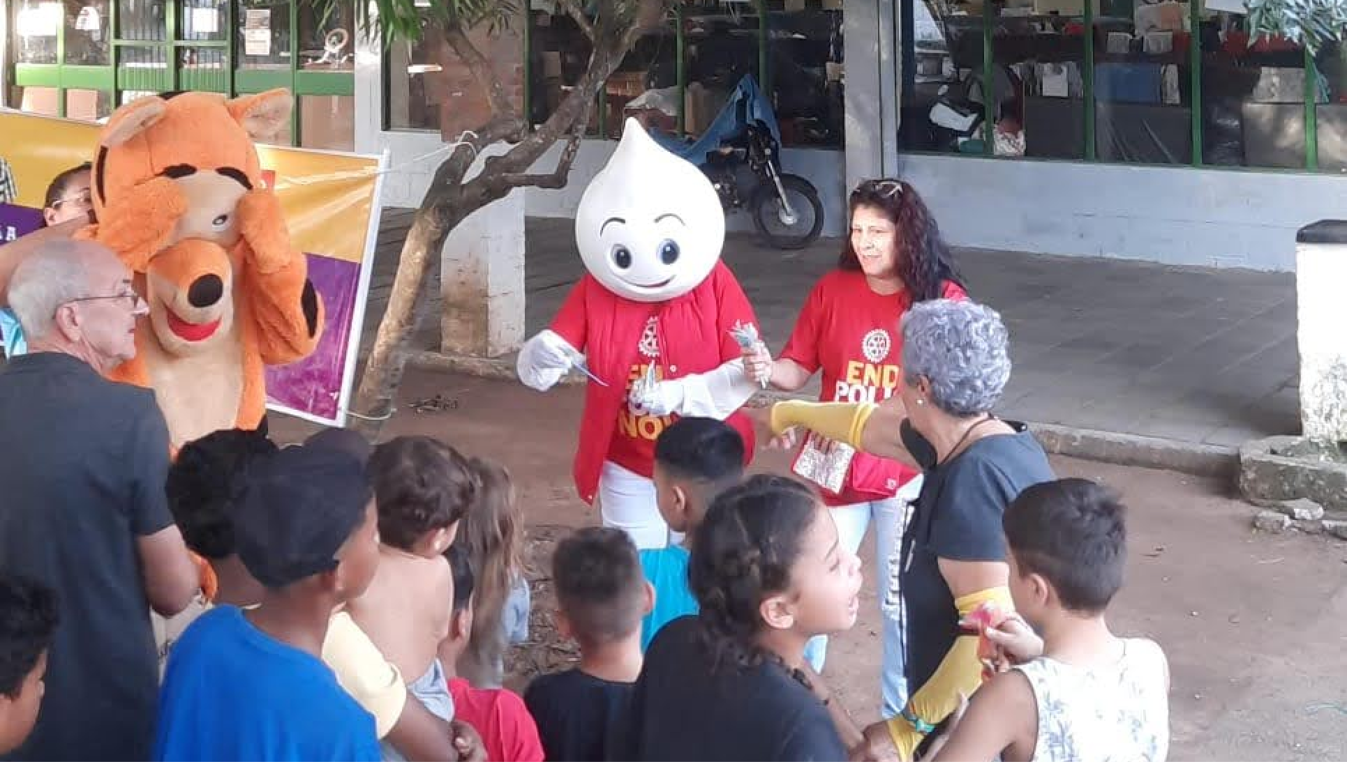 Atividade do Programa Polio Plus